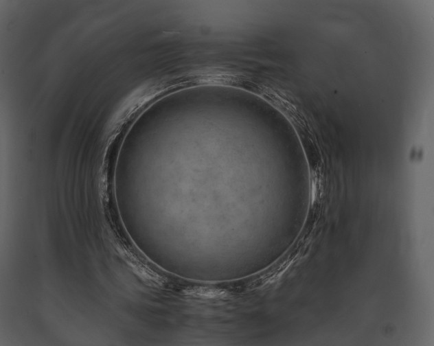X0000091650339200708231226