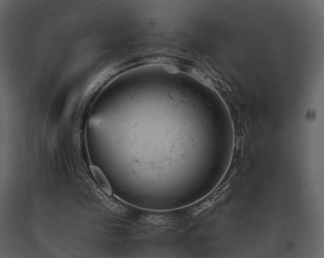 X0000091650341200708231226