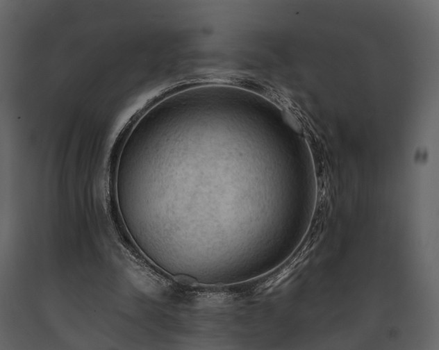 X0000091650342200708231226