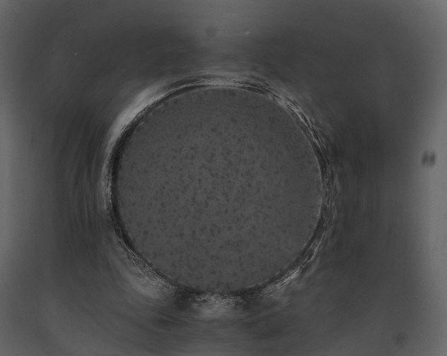 X0000091650343200708231226