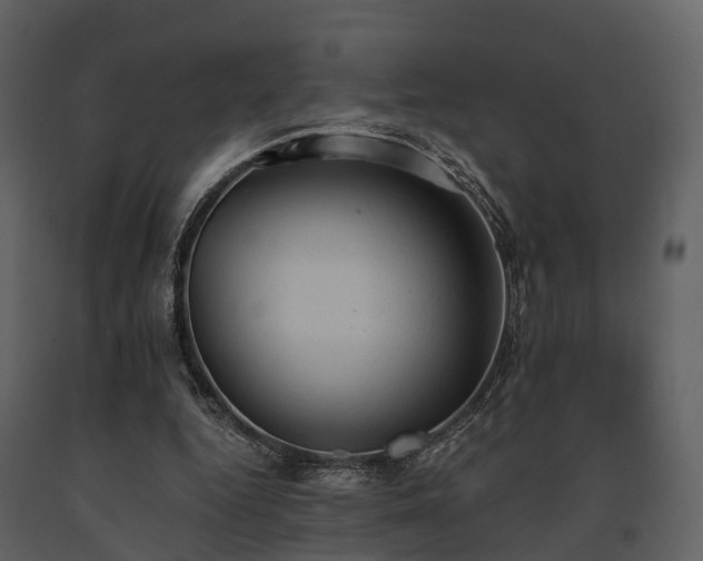 X0000091650344200708231226