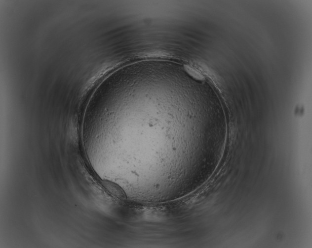 X0000091650345200708231226