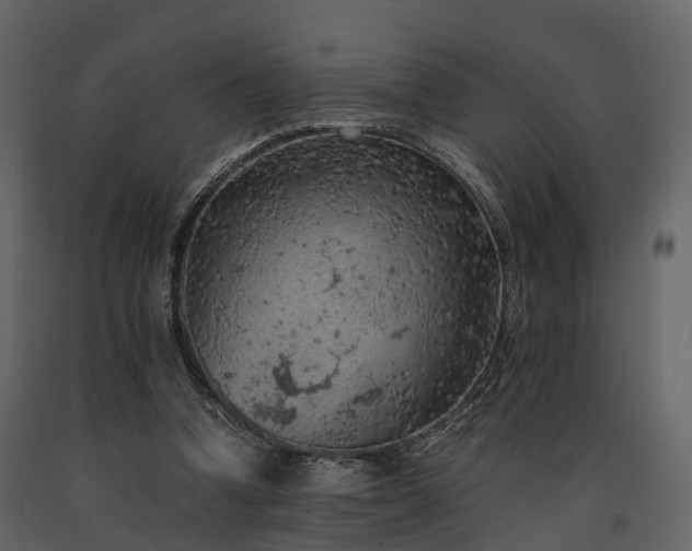 X0000091650346200708231226