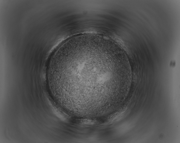 X0000091650347200708231226