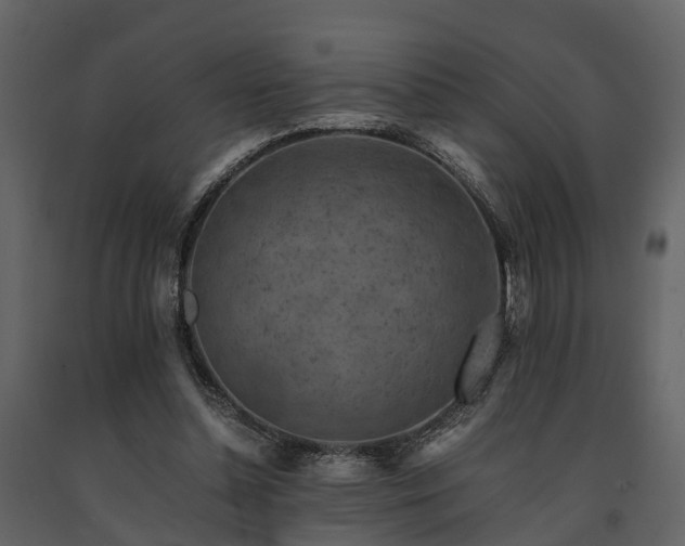 X0000091650348200708231226