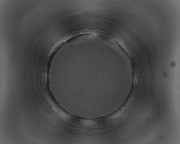X0000091650349200708231226