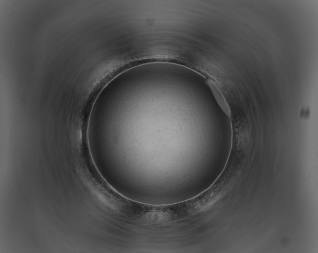 X0000091650350200708231226