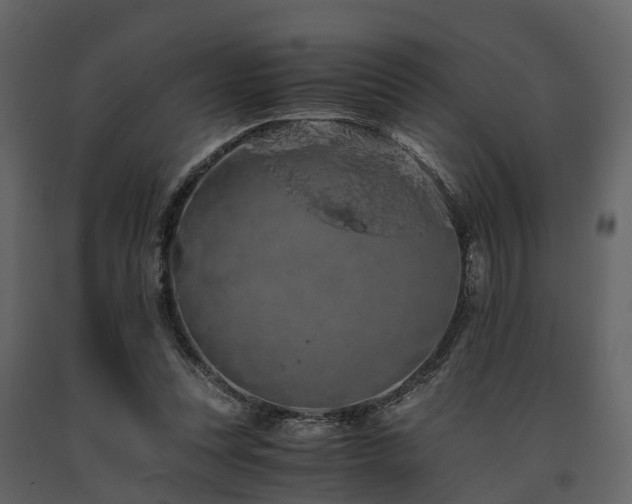 X0000091650351200708231226