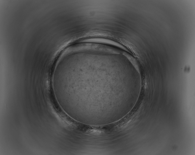 X0000091650352200708231226