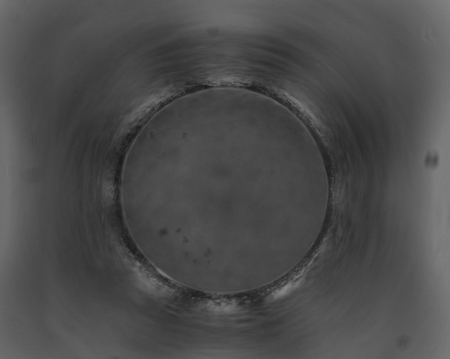 X0000091650353200708231226