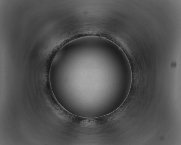 X0000091650354200708231226