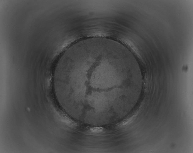 X0000091650355200708231226