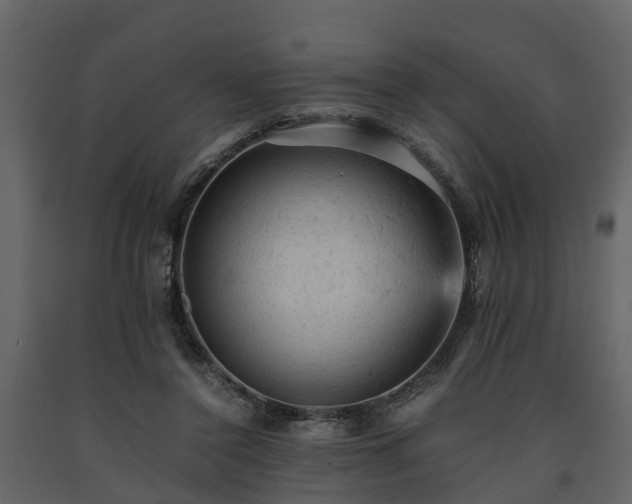 X0000091650356200708231226