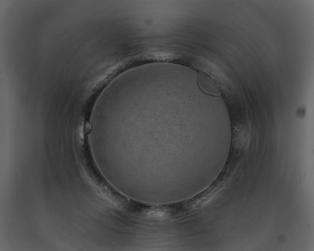 X0000091650358200708231226