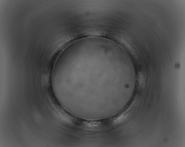X0000091650359200708231226