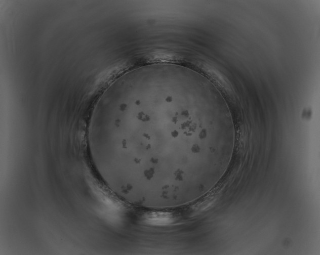 X0000091650361200708231226