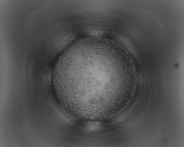 X0000091650363200708231226