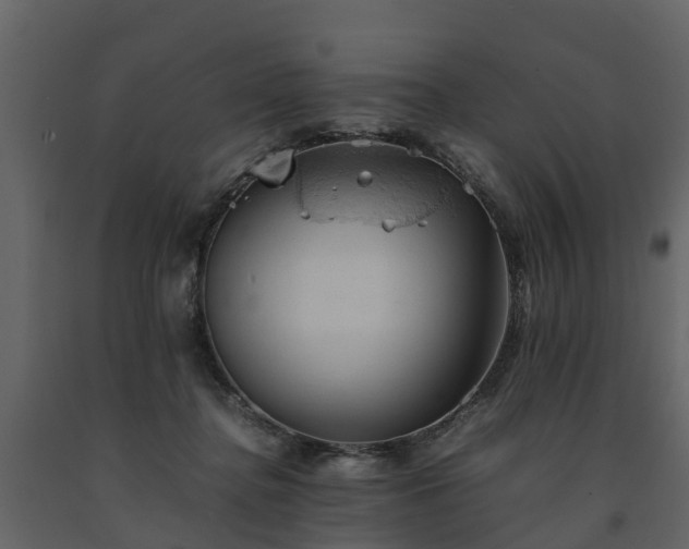 X0000091650364200708231226
