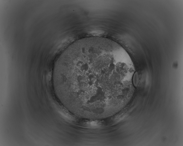 X0000091650365200708231226