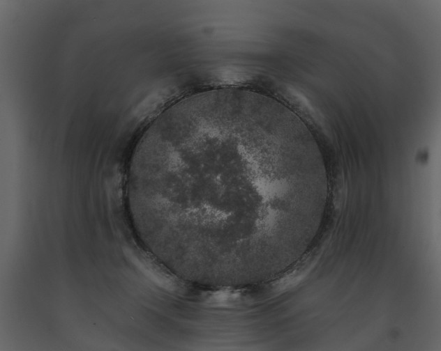 X0000091650366200708231226