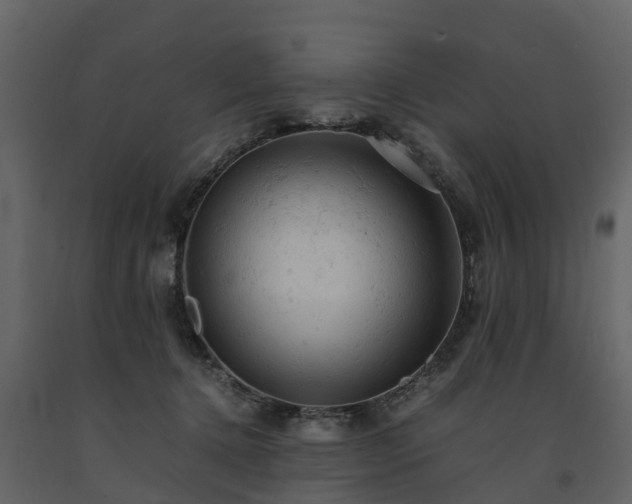 X0000091650368200708231226