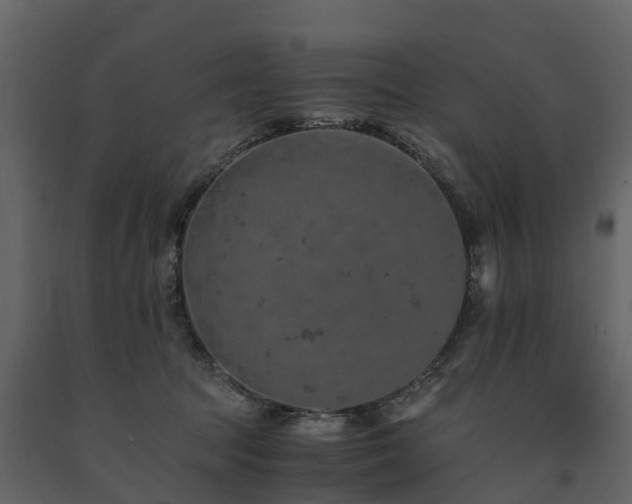 X0000091650369200708231226