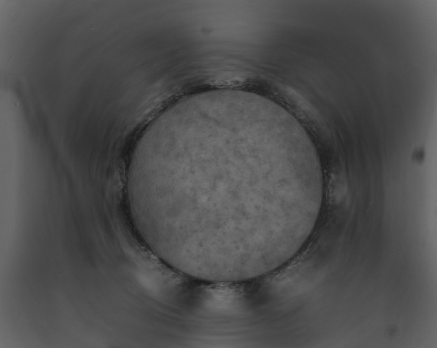 X0000091650370200708231226