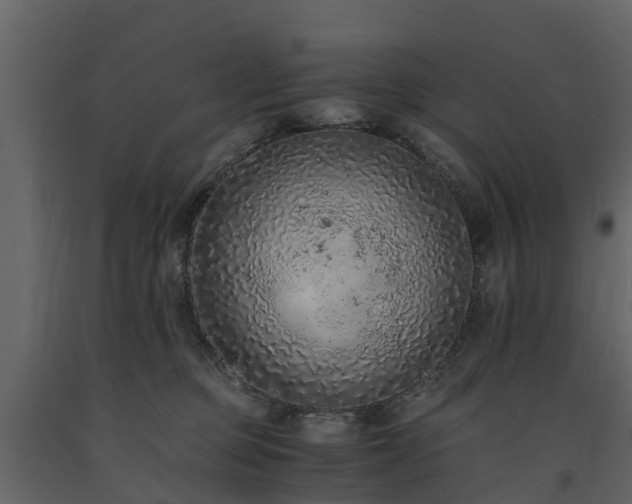 X0000091650373200708231226