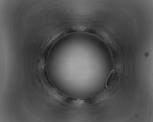 X0000091650374200708231226