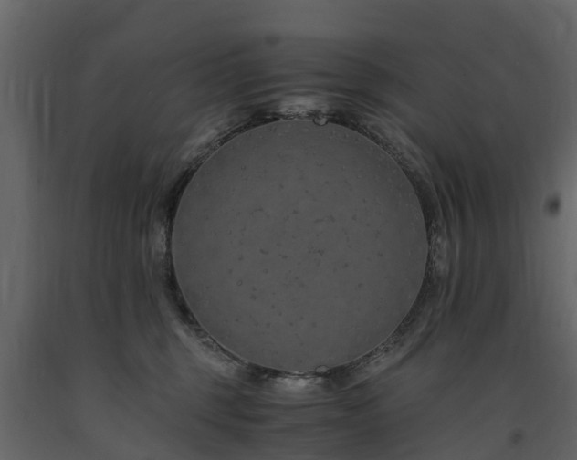 X0000091650375200708231226