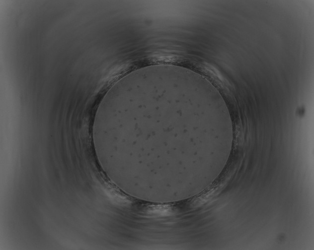 X0000091650377200708231226