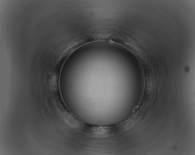 X0000091650378200708231226