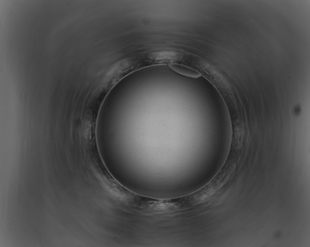 X0000091650379200708231226