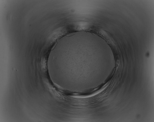 X0000091650380200708231226