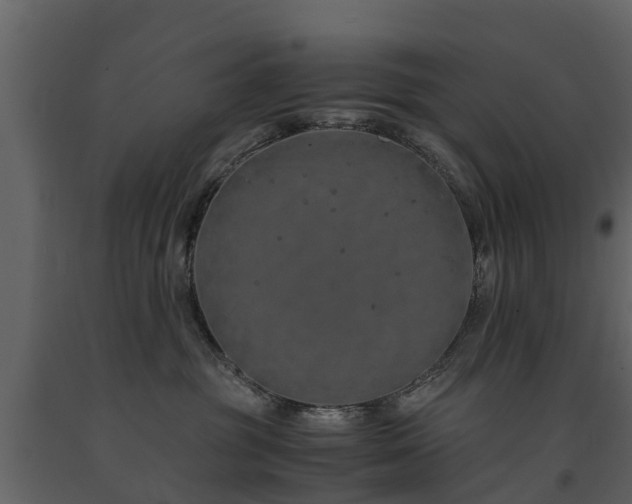 X0000091650381200708231226