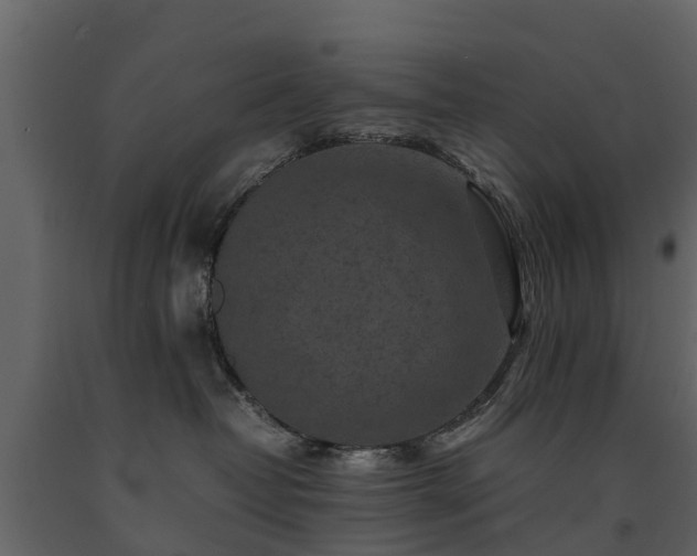 X0000091650382200708231226