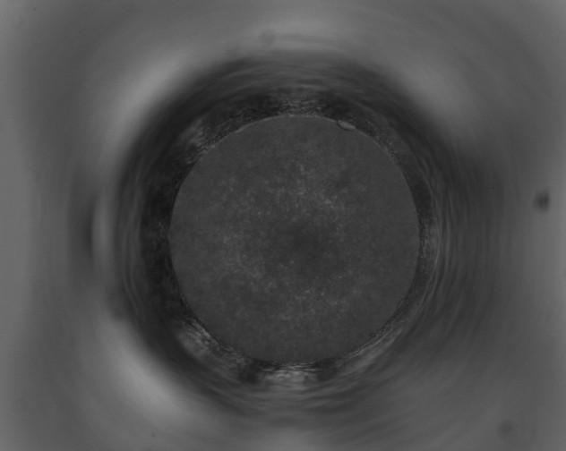 X0000091650383200708231226