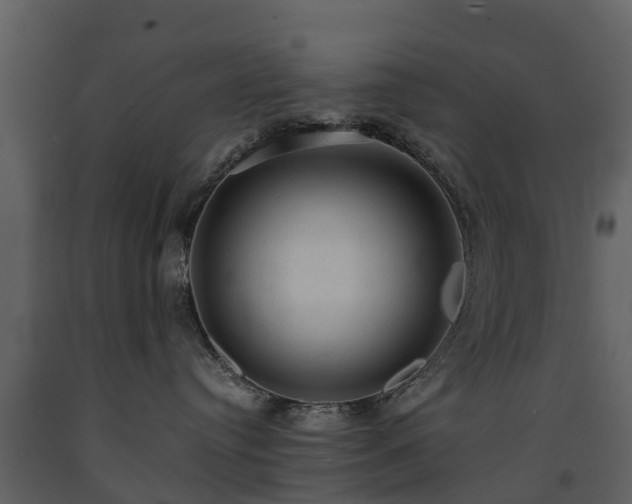 X0000091650384200708231226