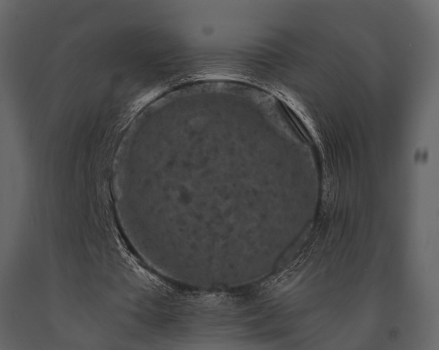 X0000091650385200708231226