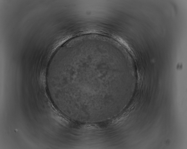 X0000091650386200708231226