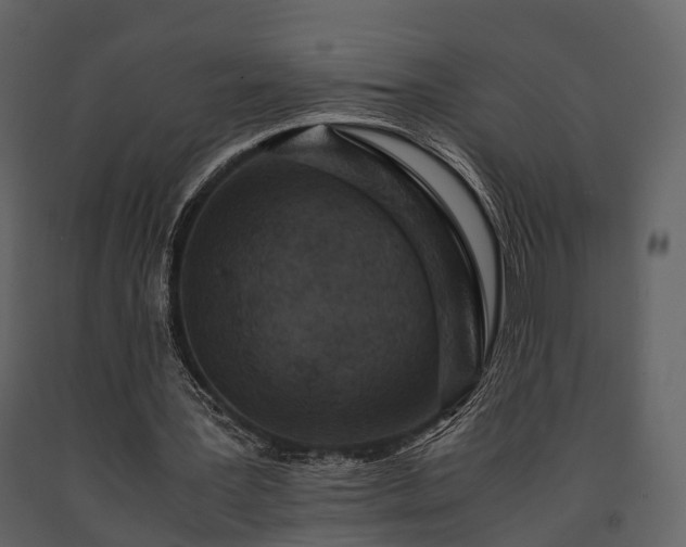 X0000091650387200708231226