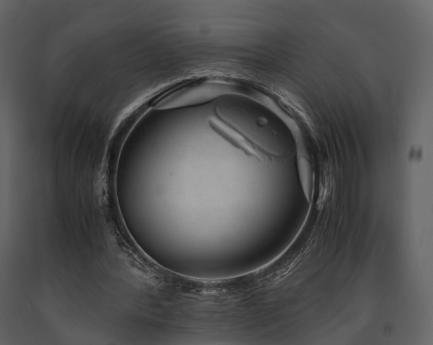 X0000091650388200708231226