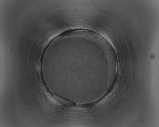 X0000091650389200708231226