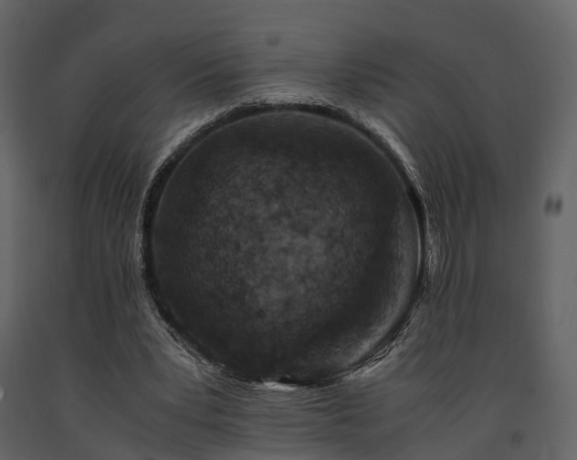 X0000091650391200708231226