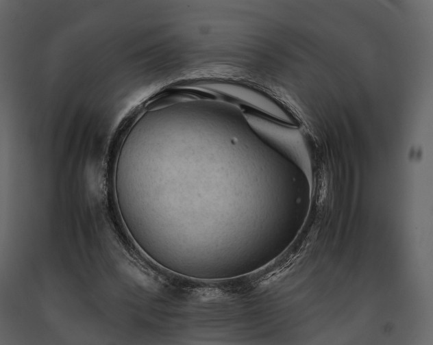 X0000091650392200708231226