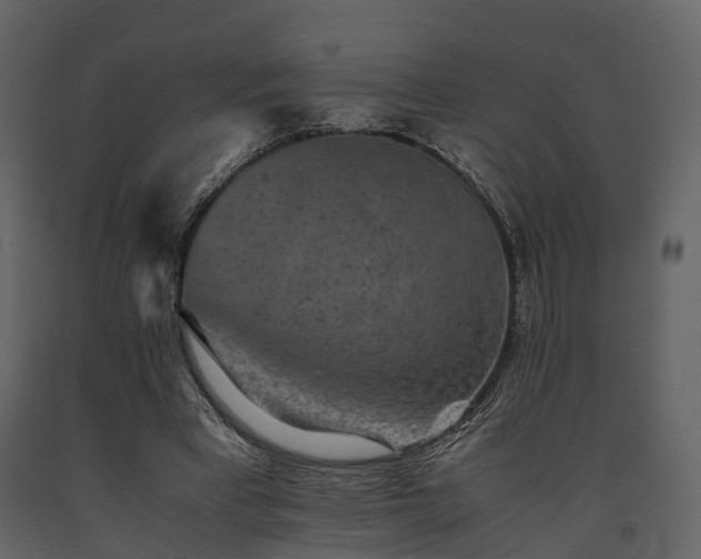 X0000091650393200708231226