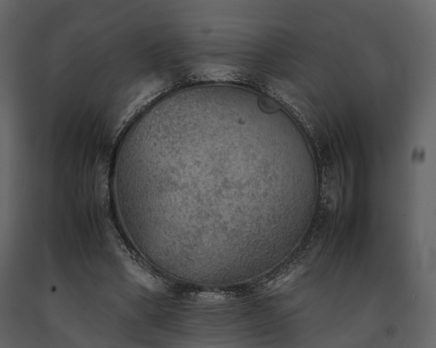 X0000091650394200708231226