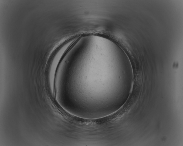 X0000091650395200708231226