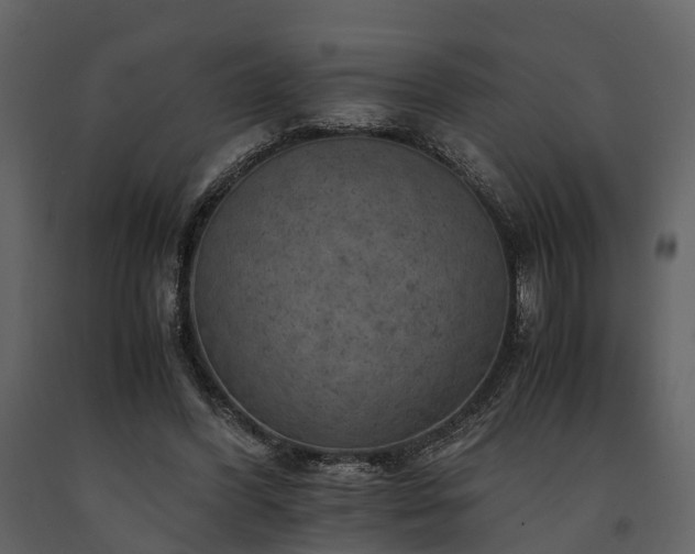 X0000091650396200708231226