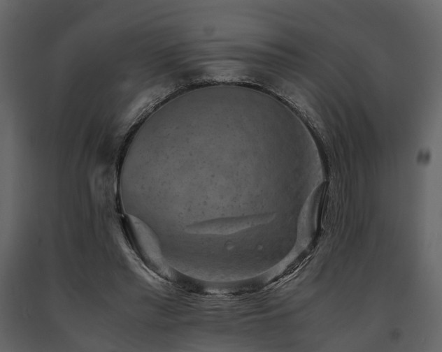 X0000091650397200708231226
